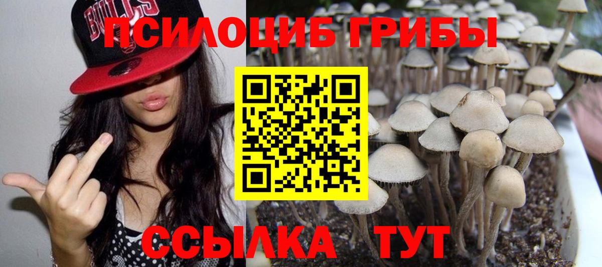 Галлюциногенные грибы Cubensis Ржев